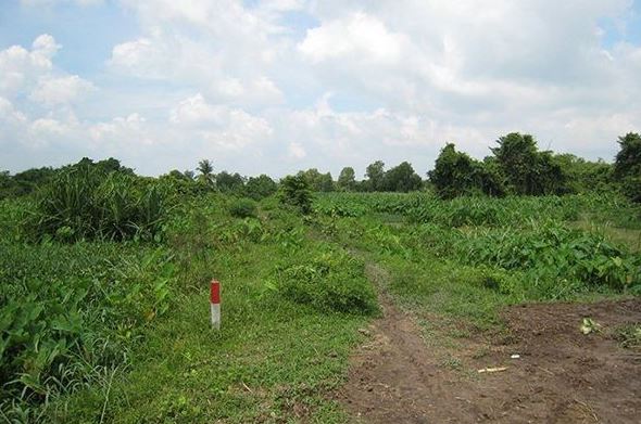 Đất khai hoang chính là hoang hay đất đã quy hoạch cho sản xuất nông nghiệp do cơ quan có thẩm quyền phê duyệt