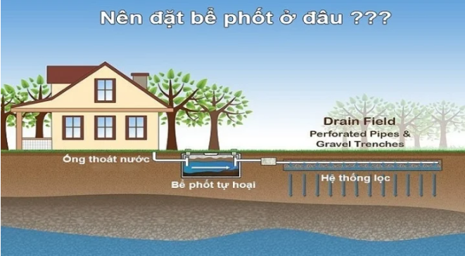 Chủ nhà nên đặt hầm tiêu phân ở sân sau nhà để không gây ô nhiễm môi trường