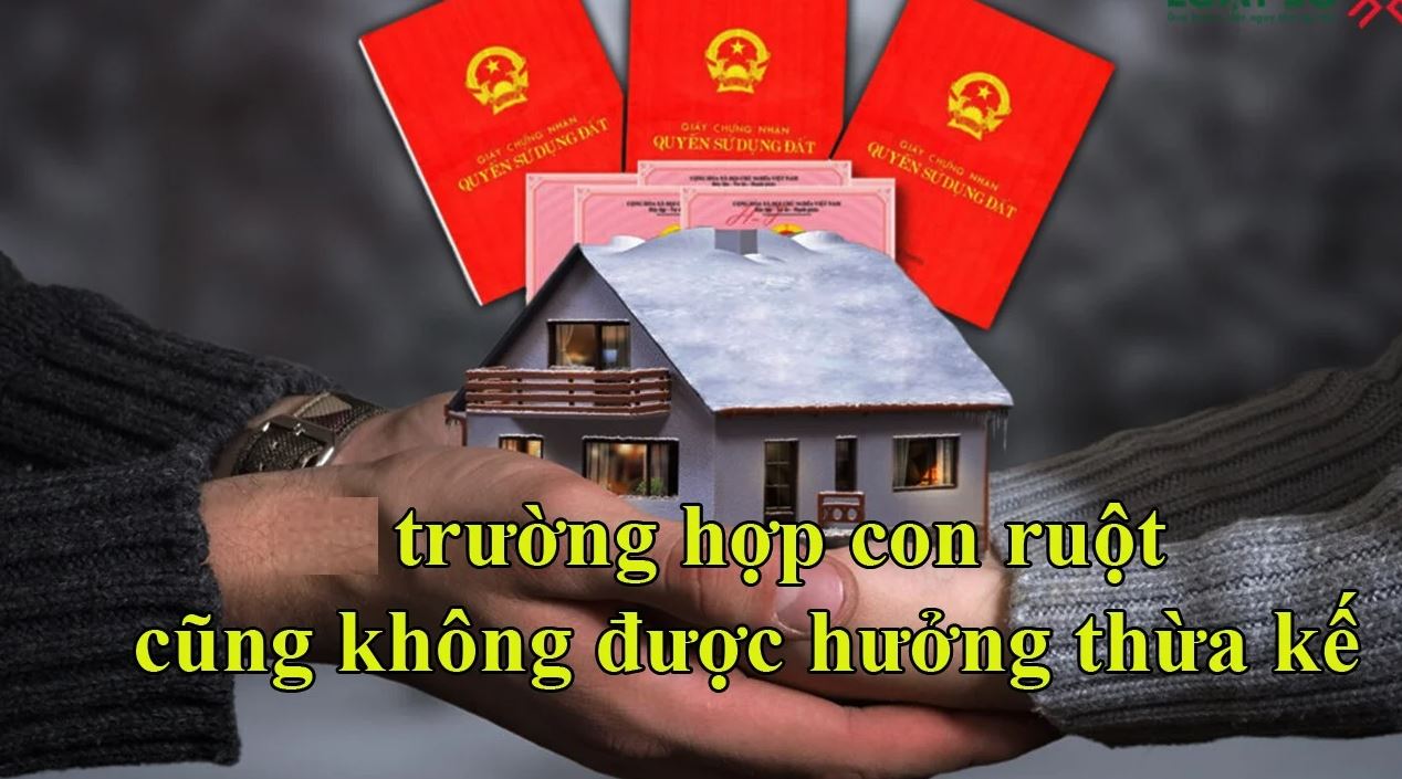 Con ruột không được thừa kế gồm có trường hợp công dân có hành vi ngược đãi bố mẹ