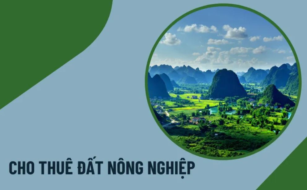 Điều 56 Luật đất đai 2013, Nhà nước cho thuê đất nông nghiệp theo hai hình thức là cho thuê đất trả tiền hàng năm và trả một lần