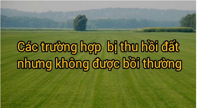 Điểm mặt trường hợp bị thu hồi mà không được nhận bồi thường